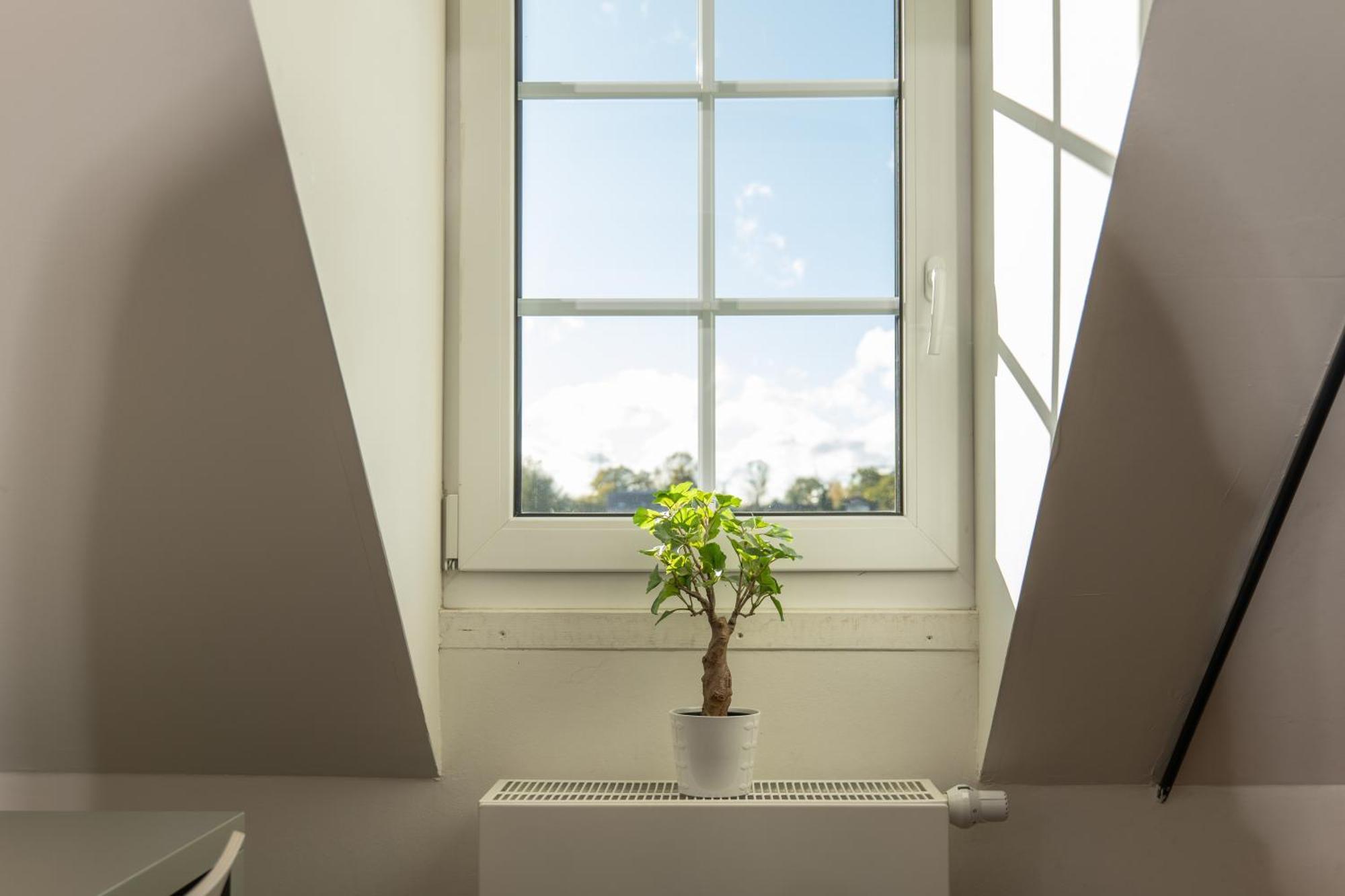 Haus Overbach Jülich Exteriér fotografie